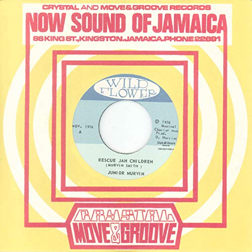Rescue Jah Children [Vinyl Single] von Dub Store