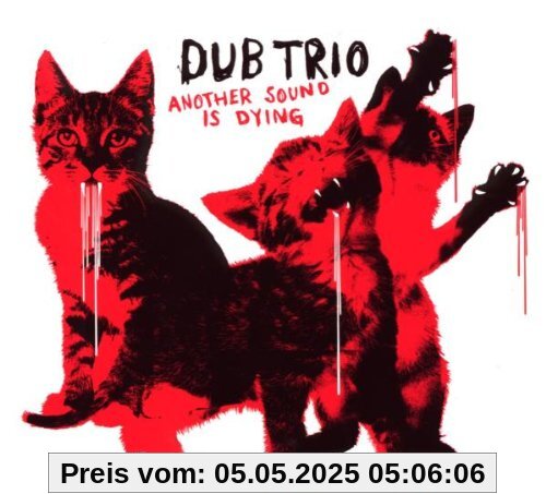 Another Sound Is Dying von Dub Trio