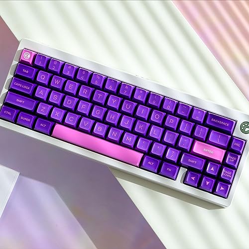 DucKey Zweifarbiges Keycaps, 160 Tasten/ABS/SA-Profil/Doubleshot Tastenkappe Für Custom Mechanische Tastatur (Color : Lavender) von DucKey