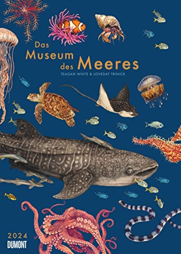DUMONT Das Museum des Meeres Posterkalender 2024, im Format 50 x 70 cm, Monatskalender, Wandkalender mit Informativen Texten rund um das Thema Meereswesen von Dumont Kalenderverlag