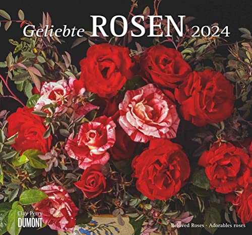 DUMONT Geliebte Rosen Wandkalender 2024, im Format 38,0 x 35,5 cm, Monatskalender, Blumenkalender für Rosenliebhaber von Dumont Kalenderverlag