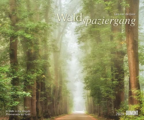 DUMONT Waldspaziergang Wandkalender 2024, im Format 60 x 50 cm, Monatskalender, Kalender mit Naturfotografien von Dumont Kalenderverlag