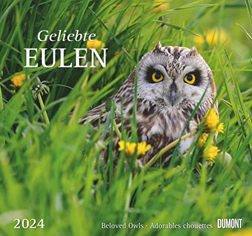 Geliebte Eulen 2024 - DUMONT Wandkalender - mit den wichtigsten Feiertagen - Format 38,0 x 35,5 cm von Dumont Kalenderverlag