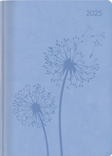 Ladytimer Deluxe Sky - Taschenkalender A6 - Kalender 2025 - Alpha Edition-Verlag - Eine Woche auf 2 Seiten - Mit Soft-Touch-Cover - 10,7 x 15,2 cm von Dumont Kalenderverlag