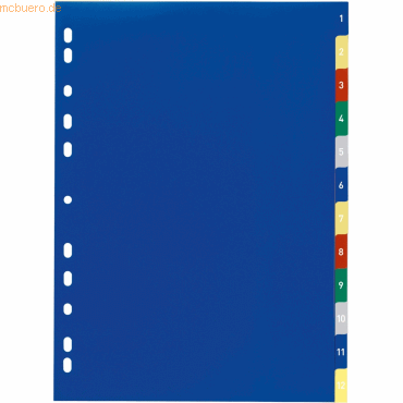 Durable Register A4 1-12 PP farbig Durable Register A4 1-12 PP farbig von Durable