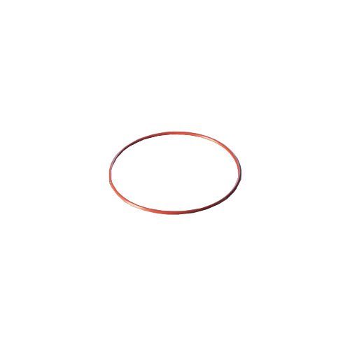DURAN 29 222 46 O-Ring, Rot, FEP-ummantelt, 100 DN passend für Flansch DURAN 29 222 46 O-Ring, Rot, FEP-ummantelt, 100 DN passend für Flansch von Duran