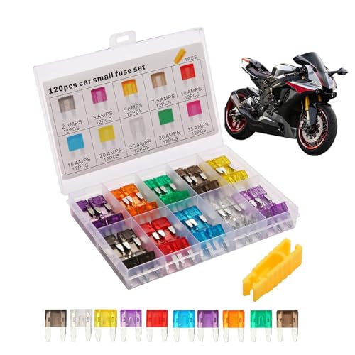 Duroecsain Sicherungen Sortiment Set | 120X Kleine Sicherungen Kfz Set,Ersatzteile, Zubehör für Motorräder, Wohnmobile, Nutzfahrzeuge und Boote von Duroecsain