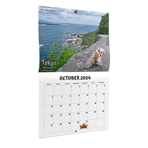 Durratou Kalender „Hund Kackt An Schönen Orten“ 2024 (Vorbestellung) – Lustige Wandkunst für Weihnachten, Feiertage, Gag, Geschenk, Streichartikel, Einfach zu Verwenden von Durratou