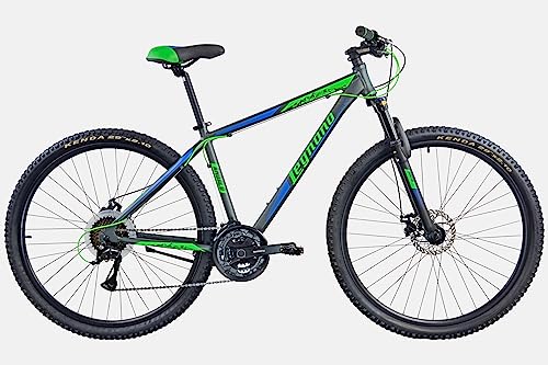 Legnano Andalo, MTB 29 Zoll Herren, Grau Matt, Blau und Grün, 40 von Dutch Perfect B.V.