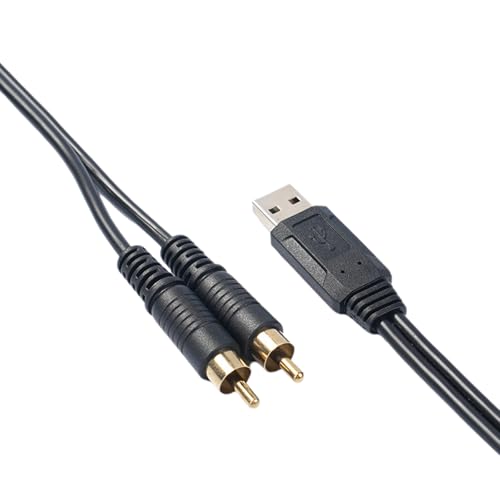 Duyeuau USB/USB C auf 2 RCA Soundkabel, Splitter, Ersatz für Telefon, Tablet, Heimkino, Verstärker, Lautsprecher, Stereo von Duyeuau