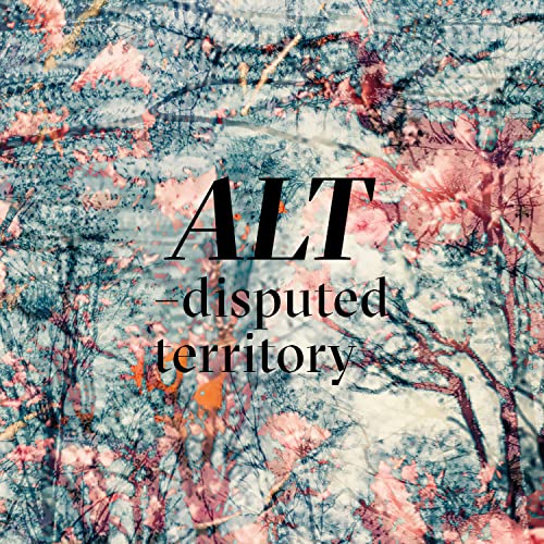 Disputed Territory [Vinyl LP] von Duzz Down San (Hoanzl)