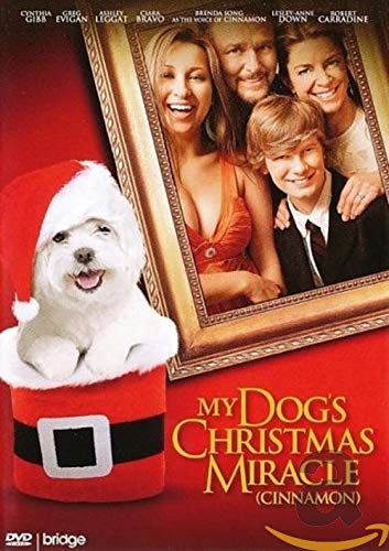 DVD - My dog's christmas miracle (1 DVD) von Dvd Dvd