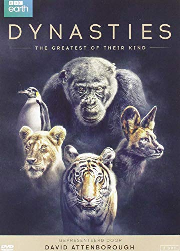 Dynasties von Dvd Dvd