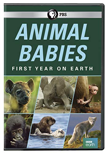 Dvd - Animal Babies: First Year On Earth [Edizione: Stati Uniti] (1 DVD) von Dvd