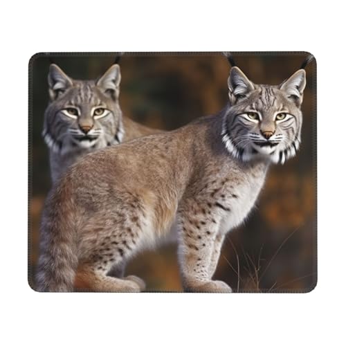 Canada Lynx Mauspad, wasserdicht, Gaming-Mauspad für Büro, Computer, Mauspad für Schreibtischunterlage mit rutschfester Gummiunterseite, waschbares Stoff-Mauspad, 25,4 x 30,5 cm Canada Lynx Mauspad, wasserdicht, Gaming-Mauspad für Büro, Computer, Mauspad für Schreibtischunterlage mit rutschfester Gummiunterseite, waschbares Stoff-Mauspad, 25,4 x 30,5 cm von Dwrepo