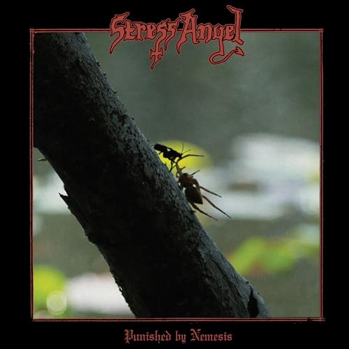 Punished by Nemesis [Vinyl LP] von The Orchard