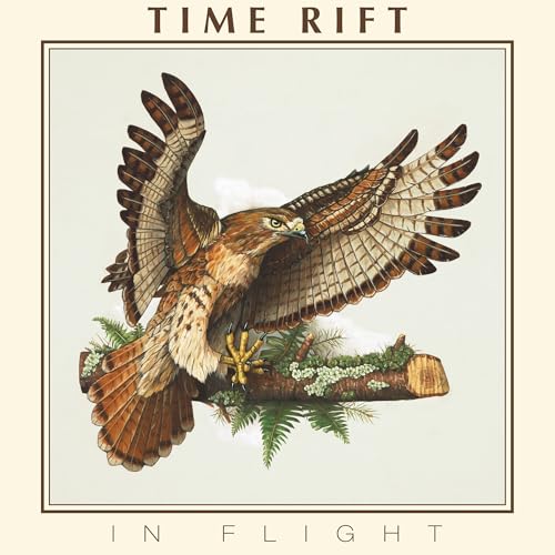 In Flight [Vinyl LP] von Dying Victims Productions