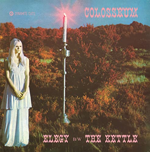 Elegy / The Kettle [Vinyl LP] von Dynamite Cuts