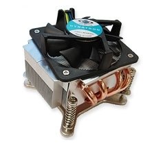 Dynatron® CPU-Kühler P-555, 775 - 2HE Aktiv von Dynatron