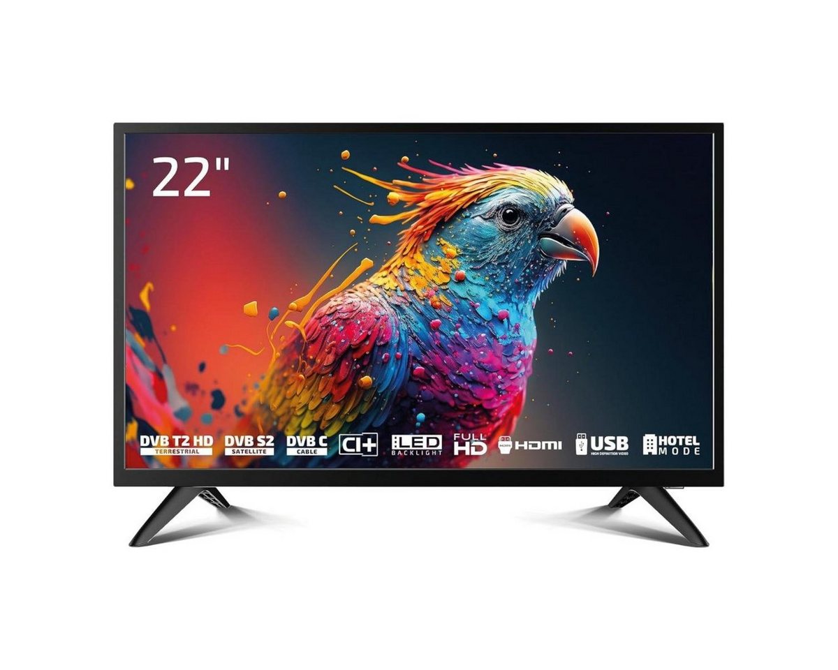 Dyon Enter 22 PRO X2 LED-Fernseher (55 cm/22 Zoll, Full HD) von Dyon