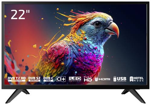 Dyon Enter 22 Pro X2 LED-TV 55cm 22 Zoll EEK E (A - G) CI+, DVB-C, DVB-S2, DVB-T2, Full HD Schwarz von Dyon