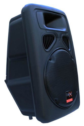 E-Lektron JP30 DJ PA Lautsprecher Box Passiv 30CM/12 Basslautsprecher von E-Lektron