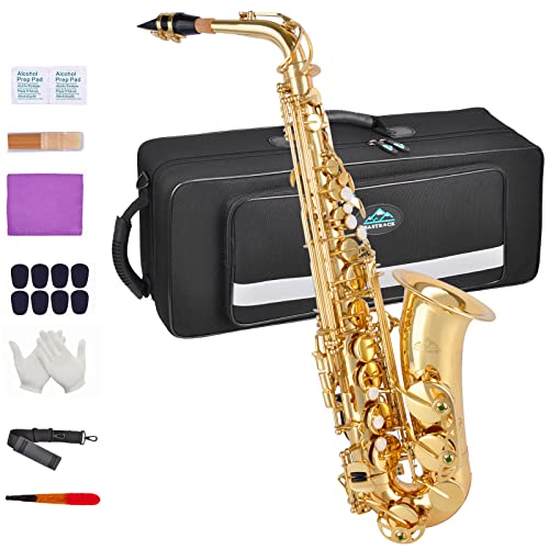 EastRock Alt Saxophon Students Altsaxophon Goldlack mit Hartschalenkoffer, Mundstück, Mundstückpolster, Reinigungstuch und Putzstab, weißen Handschuhen, Riemen (Gold) von EASTROCK