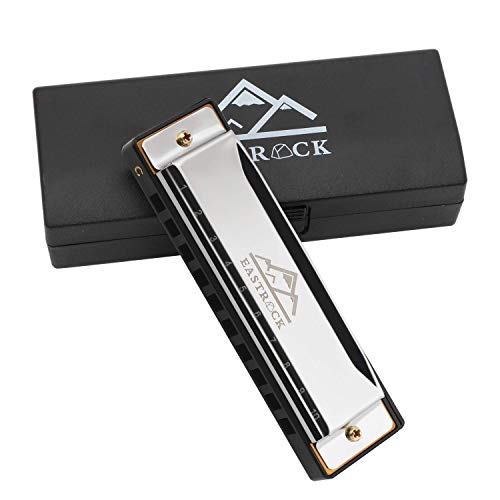 EastRock Mundharmonika C-Dur Harmonica mit Box 10-Loch Mundharmonika für Student, Fortgeschrittene und Anfänger Silber und Schwarz (10 Löcher, Silber) von EASTROCK