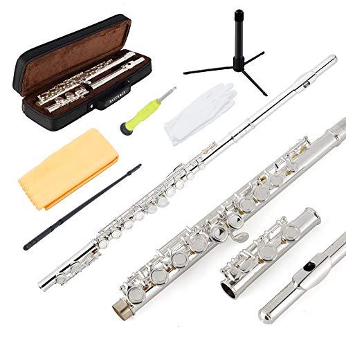 EastRock Querflöte Obturato Loch16 Loch C Querflöte versilberte Flöte mit Gehäuse und Zubehör Geeignet für Anfänger und Studenten (Silber) von EASTROCK