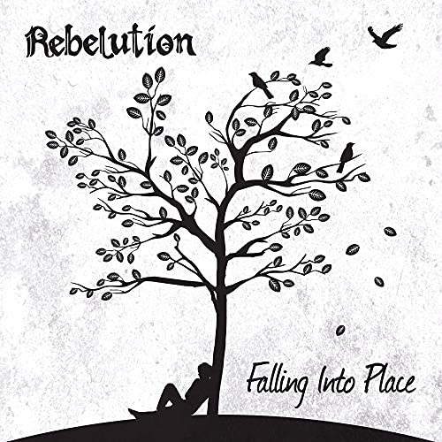 Falling into Place [Vinyl LP] von VINYL