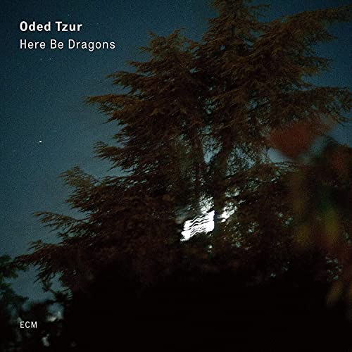 Here Be Dragons Here Be Dragons von ECM RECORDS