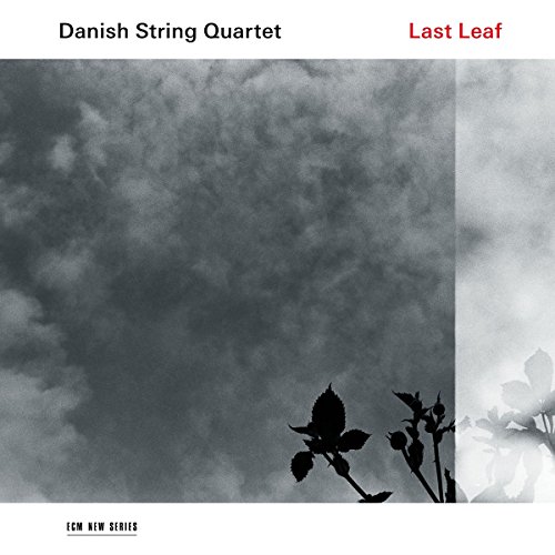 Last Leaf [Vinyl LP] von Verve
