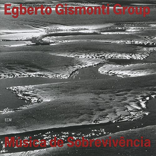 Musica de Sobrevivencia Musica de Sobrevivencia von ECM RECORDS