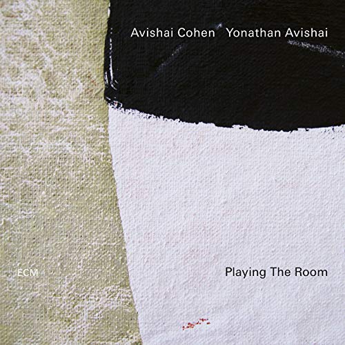 Playing the Room [Vinyl LP] von ECM