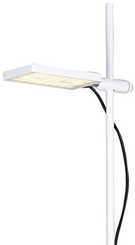 ECO-Light LED-BOOK-PT-BCO LED-BOOK-PT-BCO LED-Stehlampe LED 17W Weiß von ECO-Light