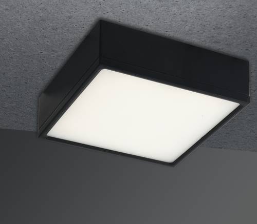 ECO-Light LED-KLIO-Q11 NER LED-KLIO-Q11 NER Deckenleuchte LED 16W Schwarz von ECO-Light