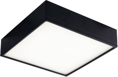 ECO-Light LED-KLIO-Q17 NER LED-KLIO-Q17 NER LED-Deckenleuchte LED 22W Schwarz von ECO-Light