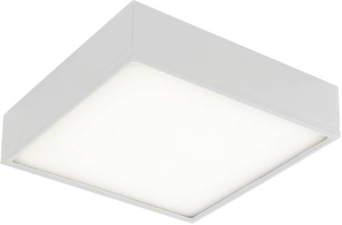 ECO-Light LED-KLIO-Q21 LED-KLIO-Q21 LED-Deckenleuchte LED 36W Weiß ECO-Light LED-KLIO-Q21 LED-KLIO-Q21 LED-Deckenleuchte LED 36W Weiß von ECO-Light
