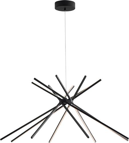 ECO-Light LED-SHANGHAI-S8 NERO LED-SHANGHAI-S8 NERO LED-Pendelleuchte LED 50W Schwarz ECO-Light LED-SHANGHAI-S8 NERO LED-SHANGHAI-S8 NERO LED-Pendelleuchte LED 50W Schwarz von ECO-Light