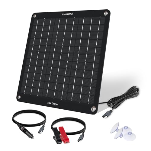 ECO-WORTHY 12 Volt 10 Watt Solar Autobatterie Ladegerät, Solarmodul Erhaltungsladung, Tragbares Solarpanel Notstromversorgung mit Krokodilklemmen Adapter für Auto, Boot, Motorrad, Wohnmobil, LKW von ECO-WORTHY