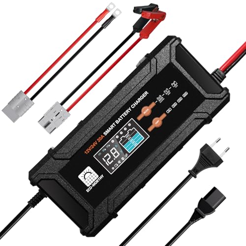 ECO-WORTHY 12V/24V 20A LiFePO4 Batterieladegerät mit Multi-Current Optionen 5A/10A/15A/20A,automatische LiFePO4 Blei-Säure Batterie Spannungserkennung für Auto LKW Motorrad Rasenmäher von ECO-WORTHY