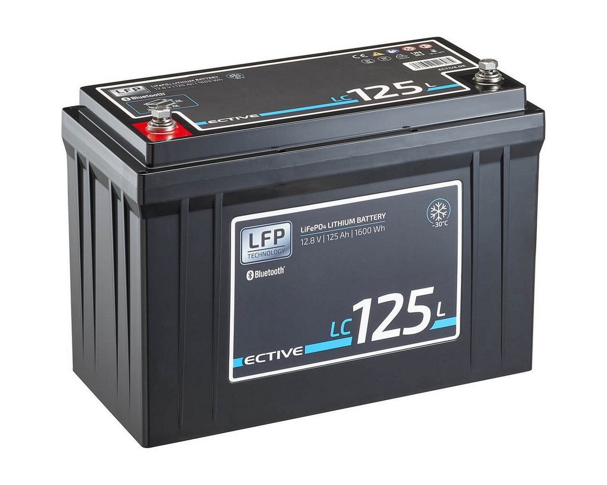 ECTIVE ECTIVE 12V 125Ah LiFePo4 Solar Batterie Lithium BMS Wohnmobil Camper Batterie, (12 V V) von ECTIVE