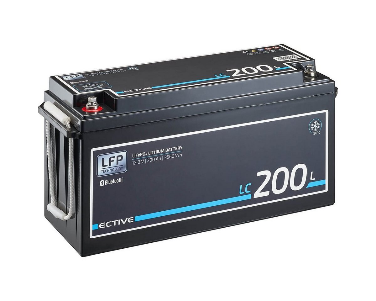 ECTIVE ECTIVE 12V 200Ah LiFePo4 Solar Batterie Lithium BMS Wohnmobil Camper Batterie, (12 V V) von ECTIVE