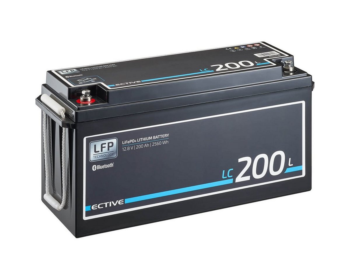 ECTIVE ECTIVE 12V 200Ah LiFePo4 Solar Batterie Lithium BMS Wohnmobil Camper Batterie, (12 V V) von ECTIVE