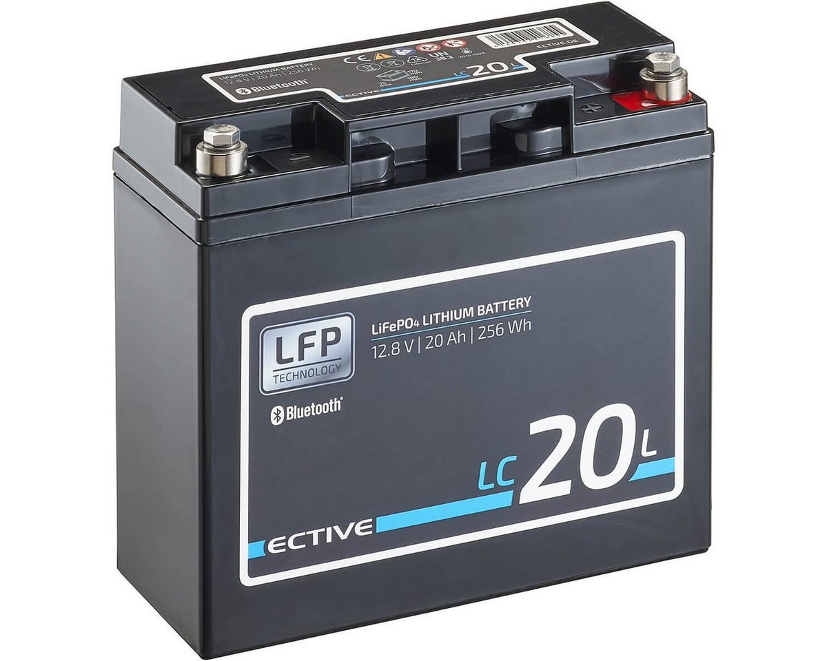 ECTIVE ECTIVE 12V 20Ah LiFePo4 Solar Batterie Lithium BMS Wohnmobil Camper Batterie, (12 V V) von ECTIVE