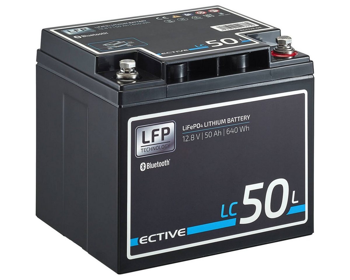 ECTIVE ECTIVE 12V 50Ah LiFePo4 Lithium Akku BMS Wohnmobil LFP BT Batterie, (12 V V) von ECTIVE