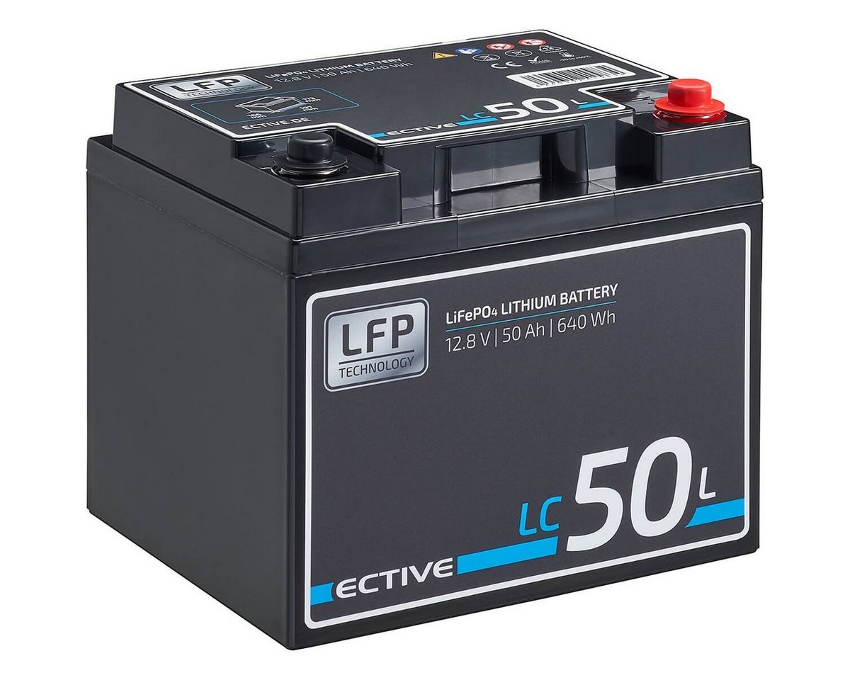 ECTIVE ECTIVE 12V 50Ah Lithium Batterie LiFePO4 für Wohnmobil Batterie, (12 V V) von ECTIVE
