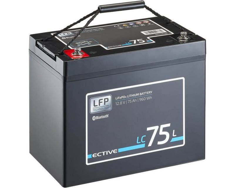 ECTIVE ECTIVE 12V 75Ah LiFePo4 Solar Batterie Lithium BMS Wohnmobil Camper Batterie, (12 V V) von ECTIVE