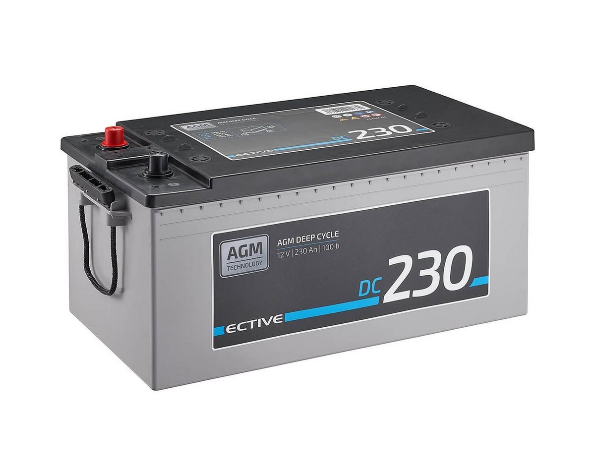 ECTIVE ECTIVE AGM 12V 230Ah Deep Cycle Batterie - Versorgerbatterie Batterie, (12 V V) von ECTIVE