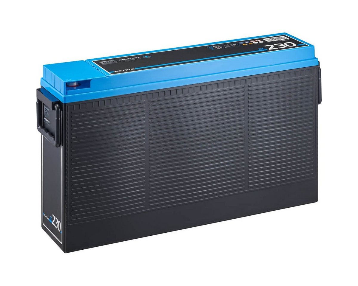 ECTIVE ECTIVE AGM Batterie 230Ah 12V Deep Cycle Slim Front Terminal Batterie, (12 V) von ECTIVE